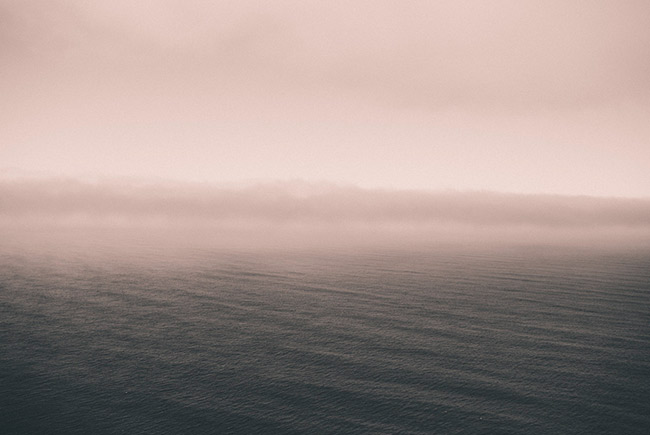 发手机号软件app